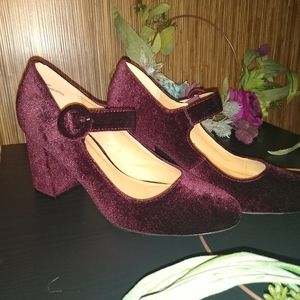 🔥Red Velvet Chunky Heels🔥